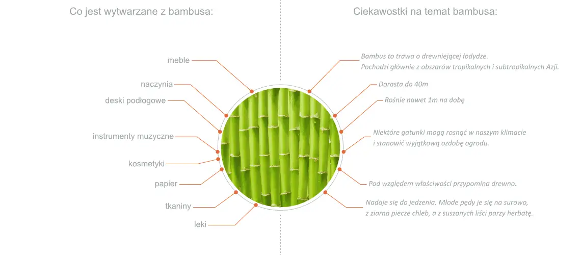 czy bambus to drewno